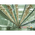 Full Automatic Control Type Chicken Slaughter Line